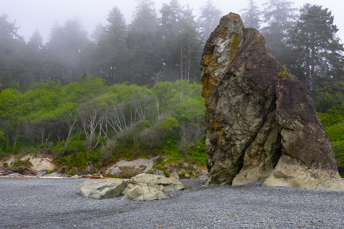 DSC_5464.jpg