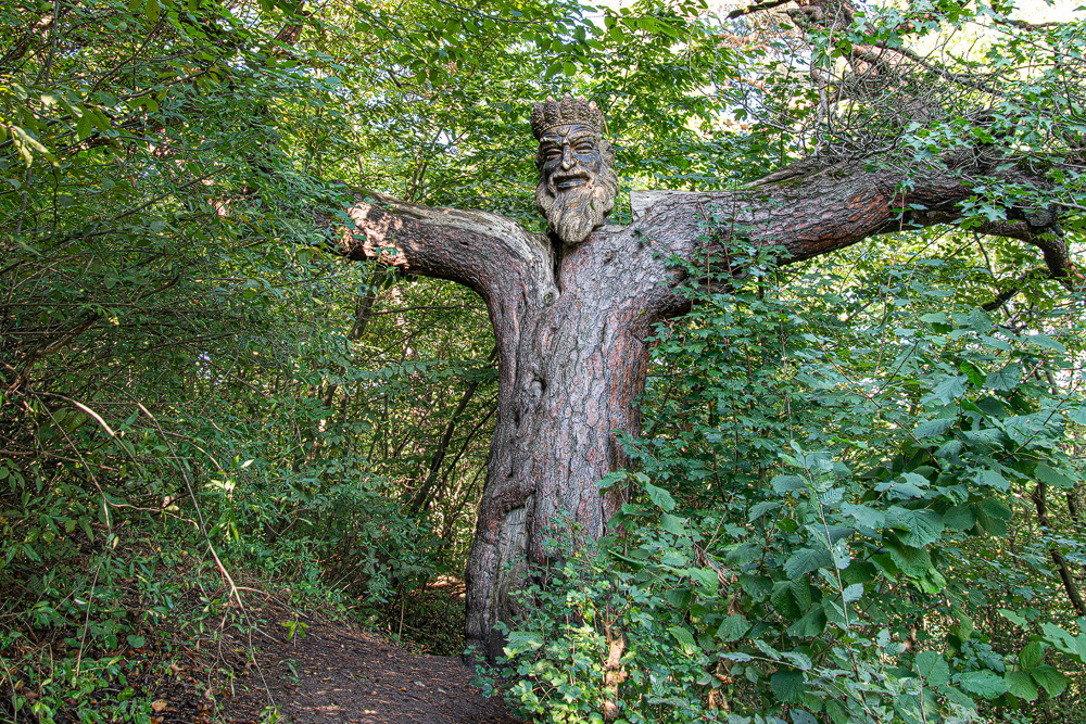 DSC_5471.jpg
