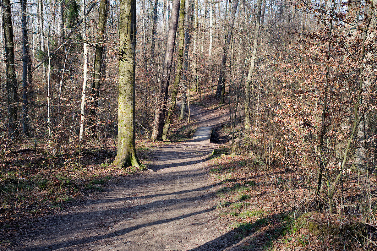 DSC_5473.jpg
