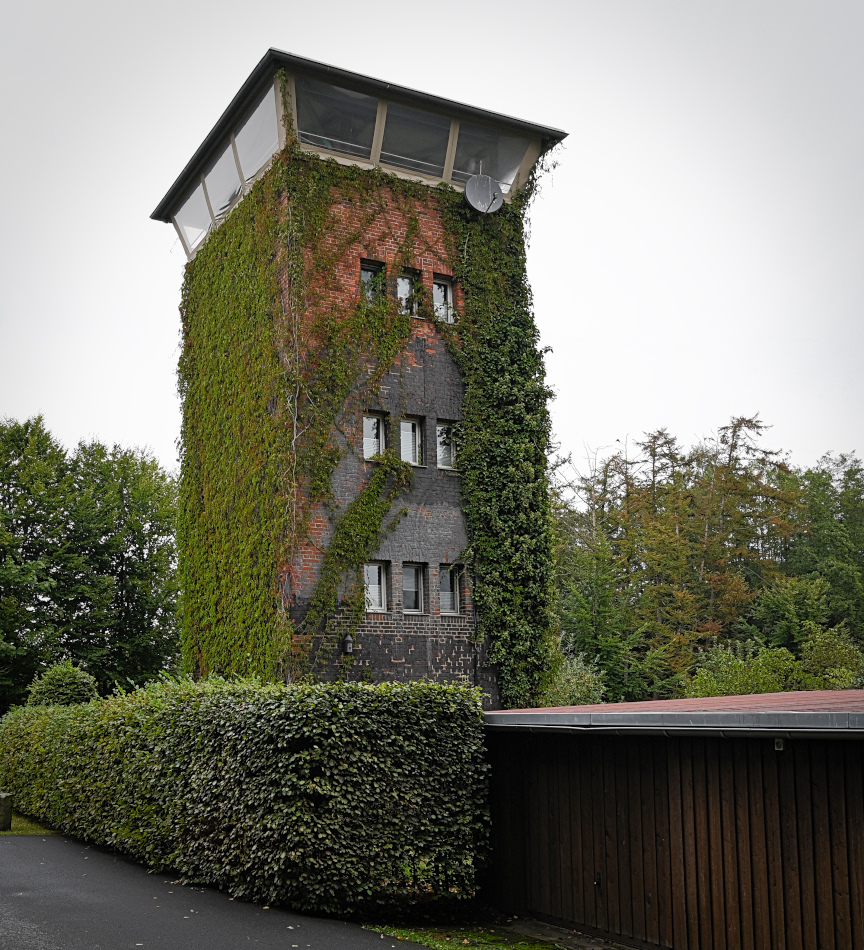 DSC_5482.jpg