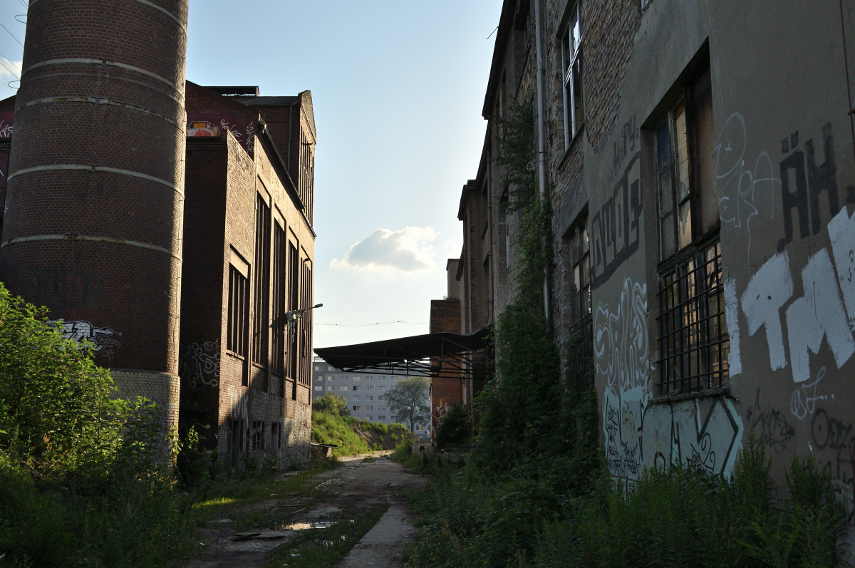 DSC_5483.JPG