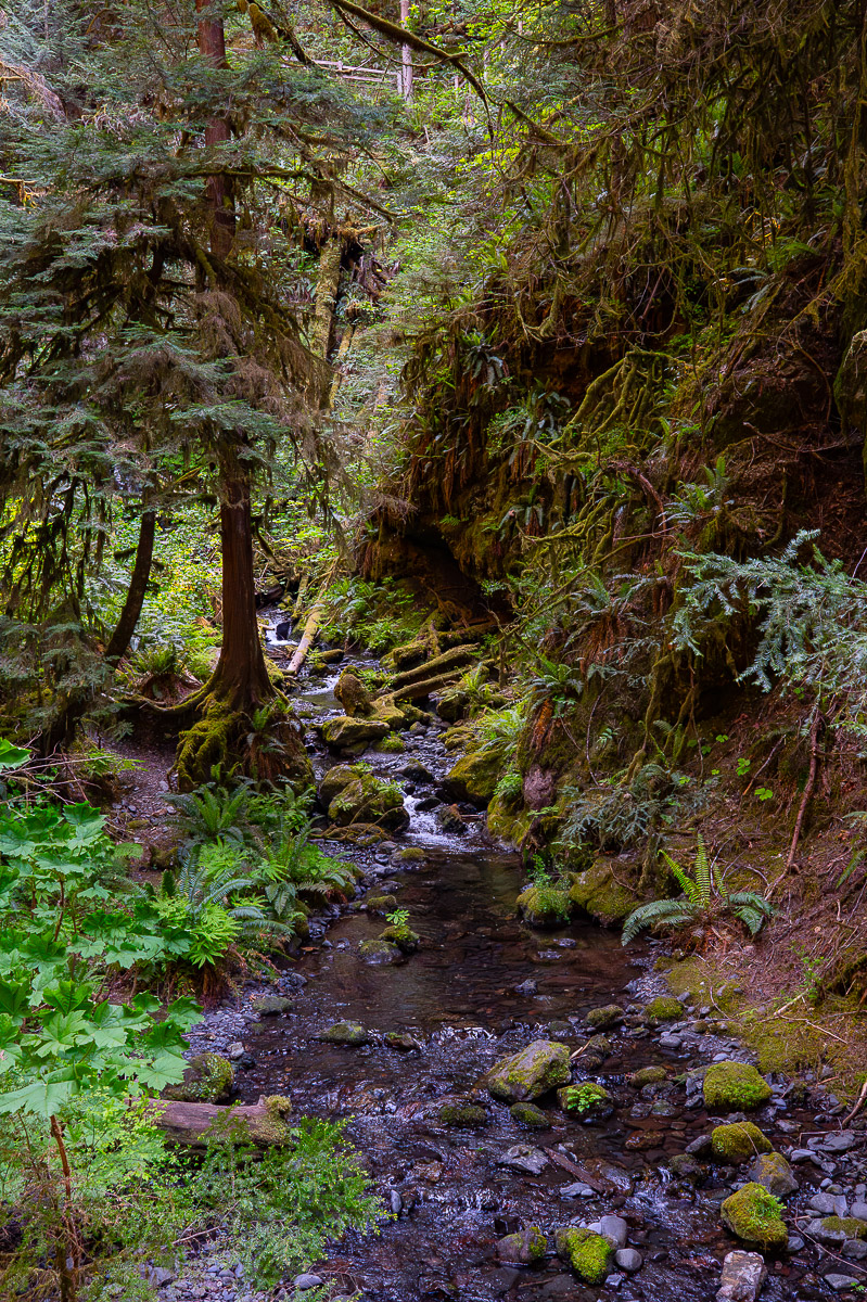 DSC_5487.jpg