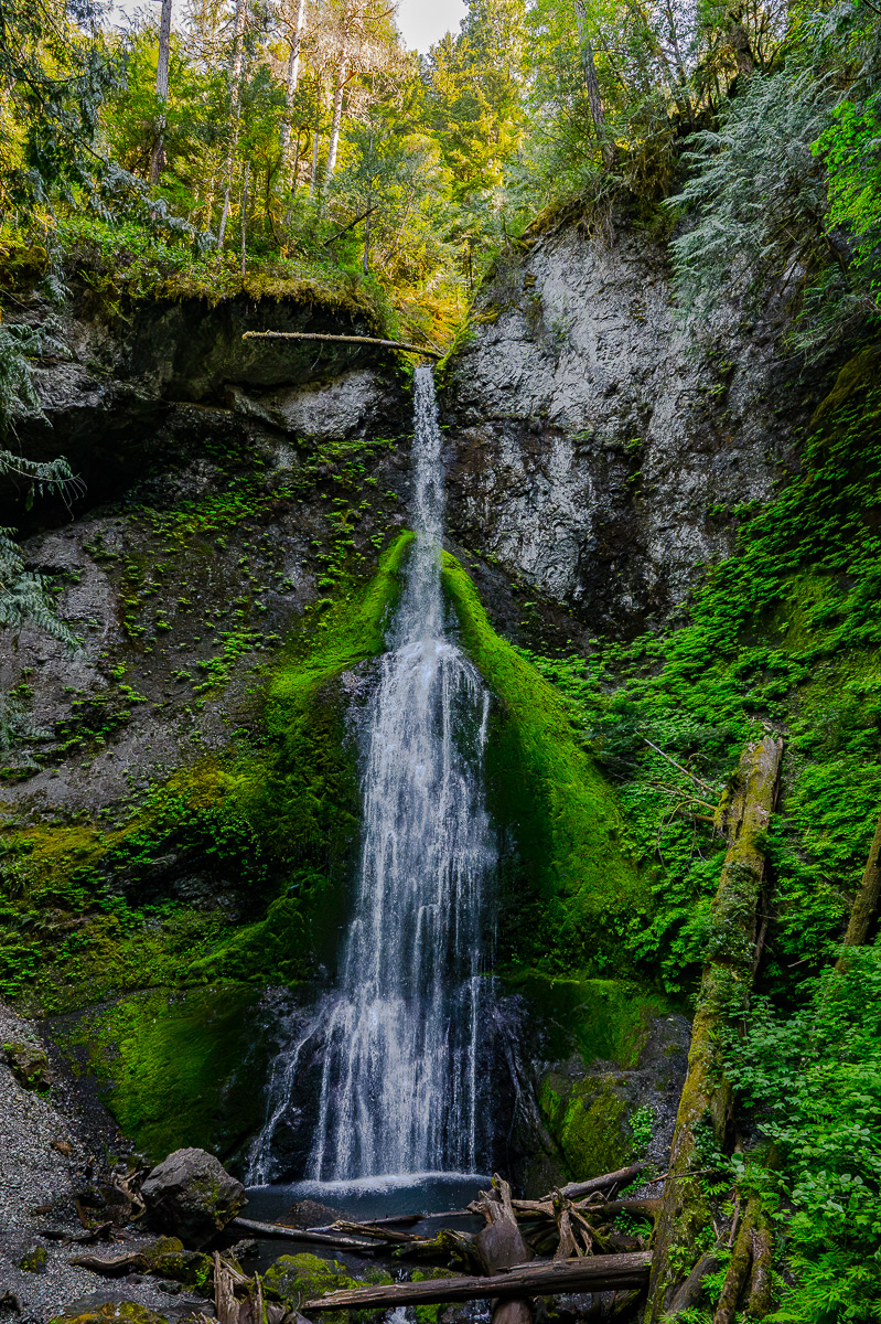DSC_5489.jpg