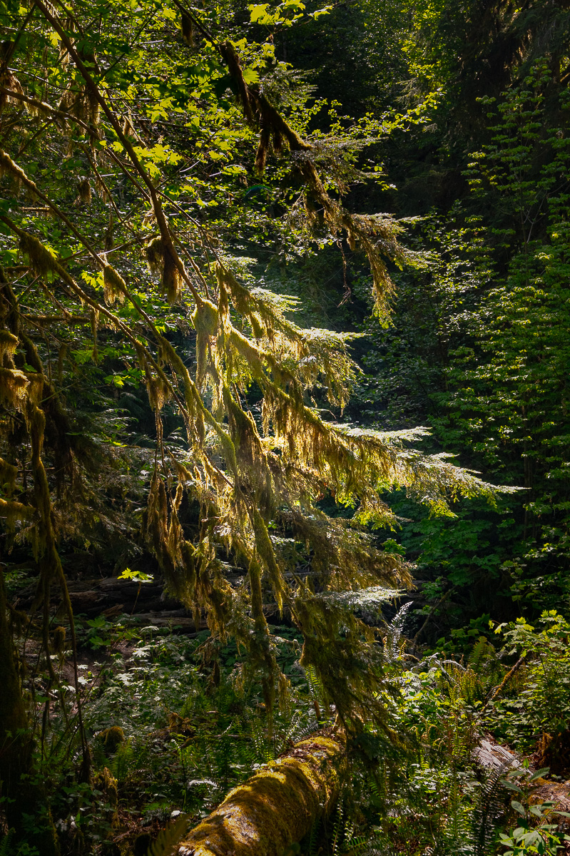 DSC_5504.jpg
