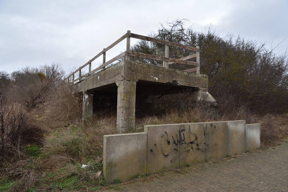 DSC_5535.JPG