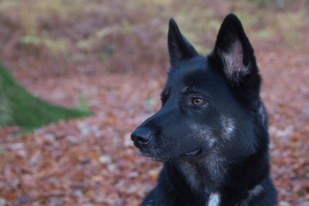 DSC_5539.jpg
