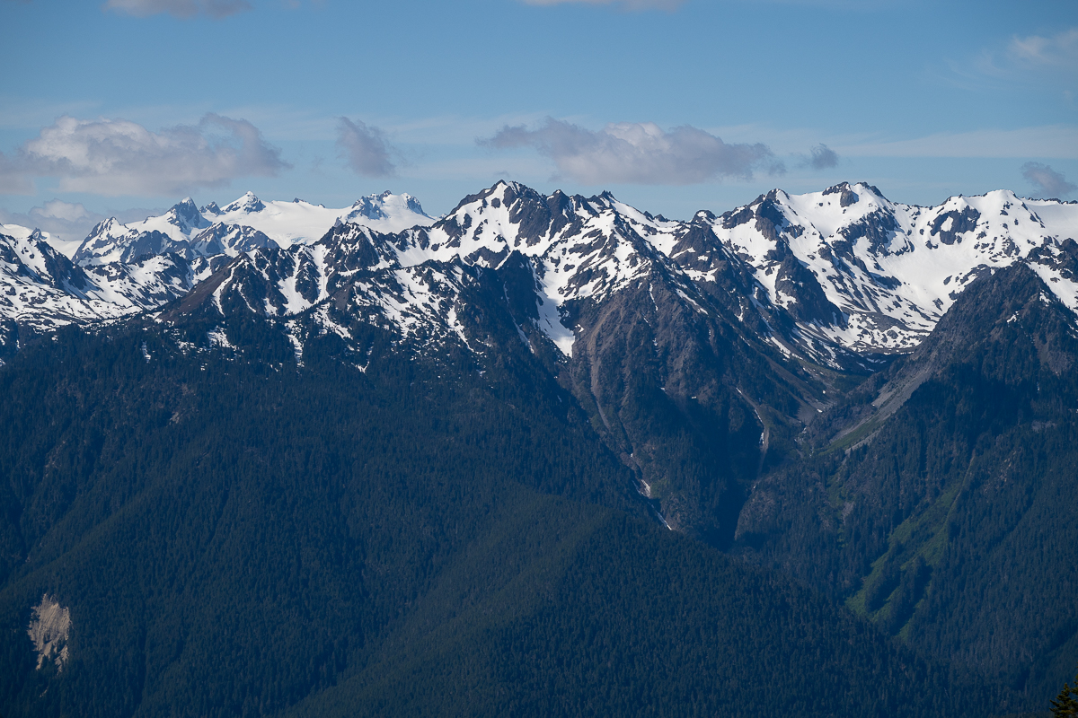 DSC_5546.jpg