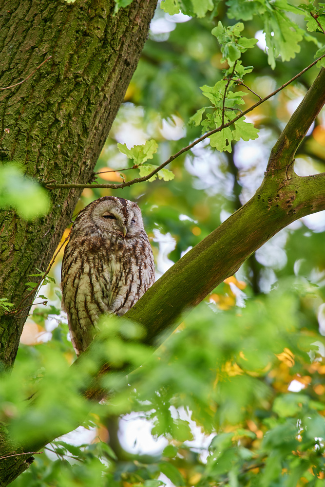 DSC_5551.jpg
