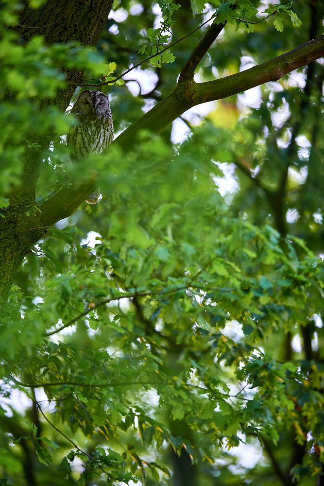 DSC_5560 1.jpg