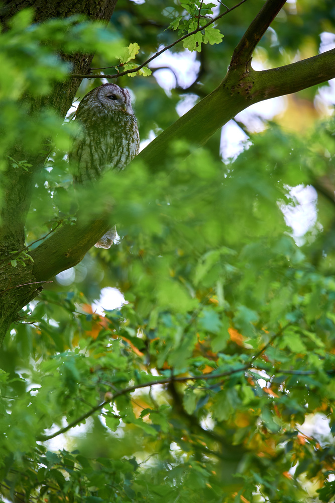 DSC_5564.jpg