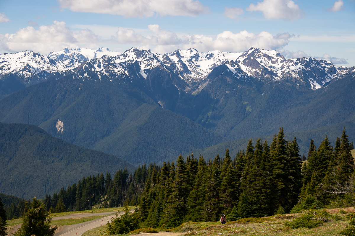 DSC_5602.jpg