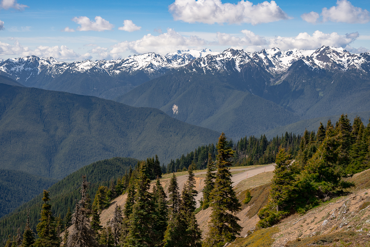 DSC_5603.jpg