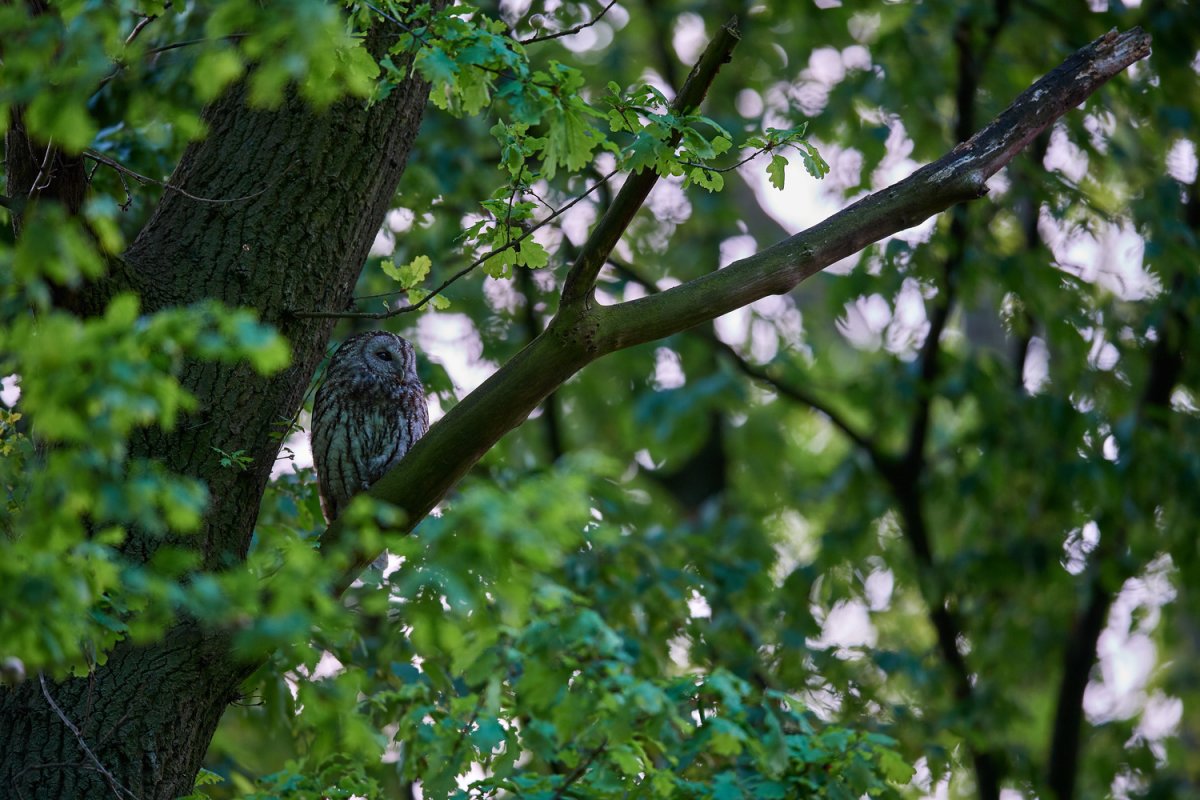 DSC_5615.jpg