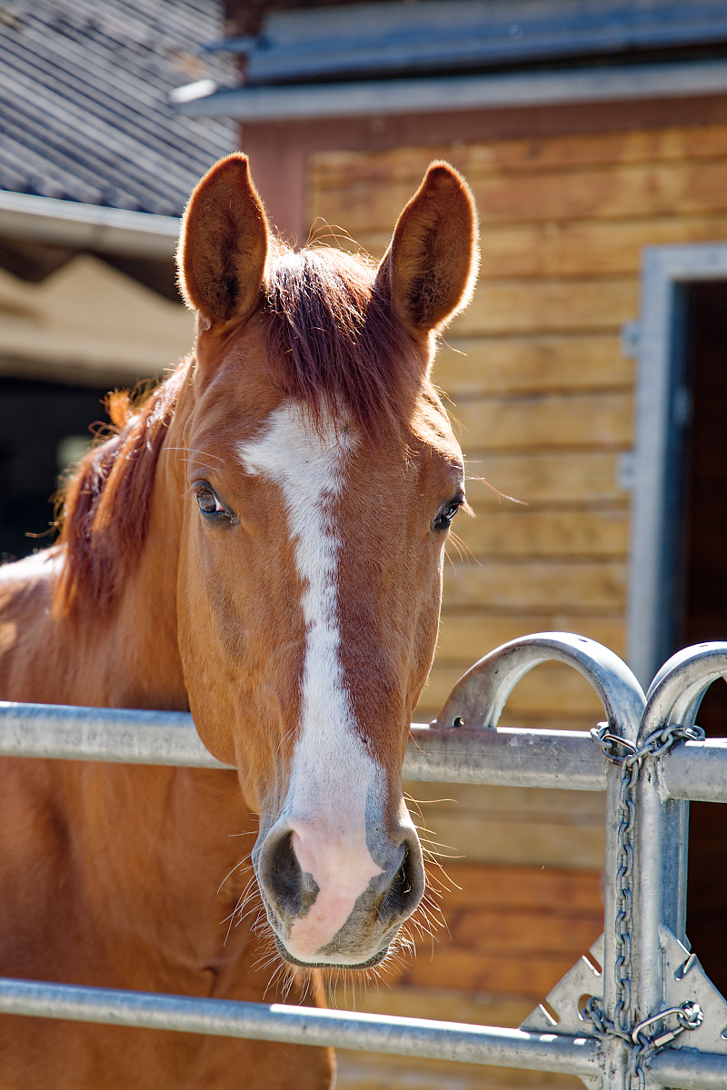 DSC_5620.jpg