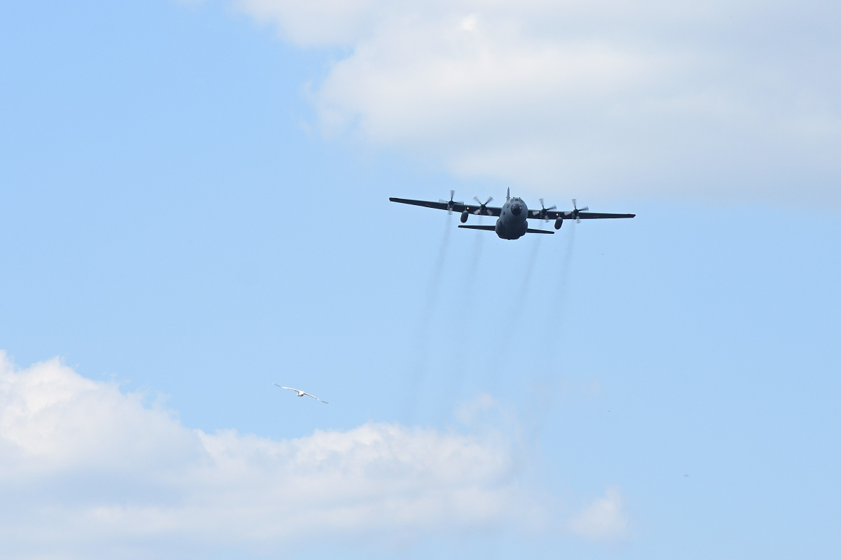 DSC_5635.JPG