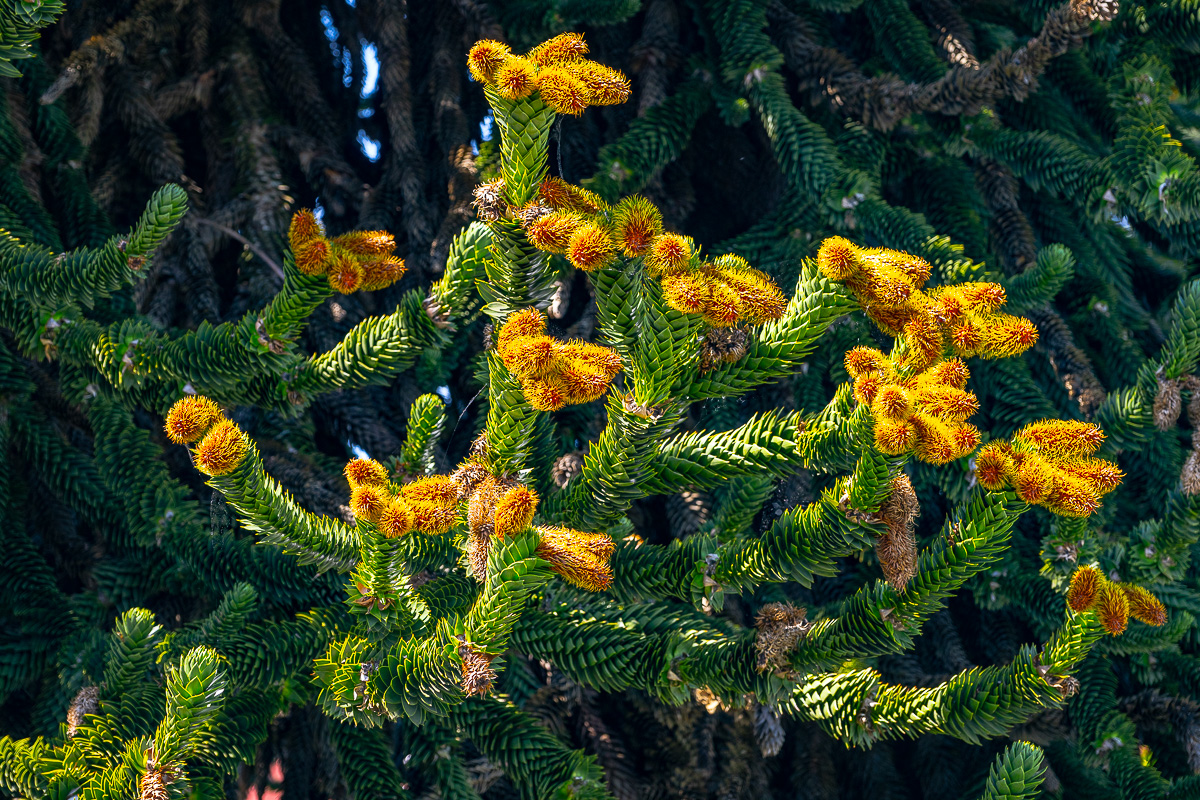 DSC_5635.jpg