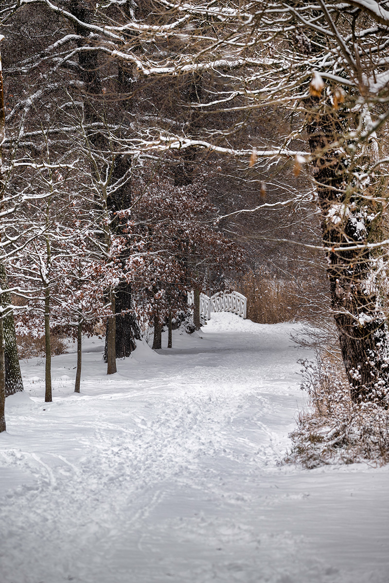 DSC_5645.jpg
