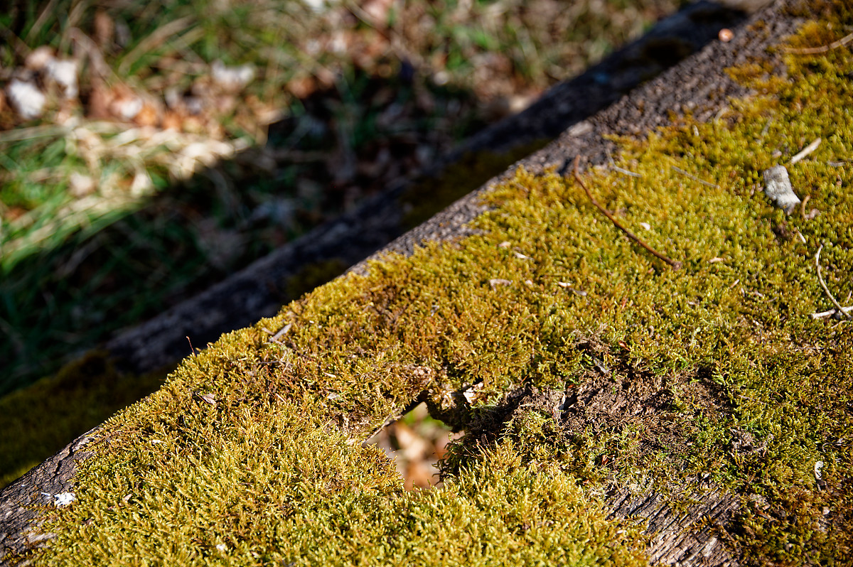 DSC_5649.jpg