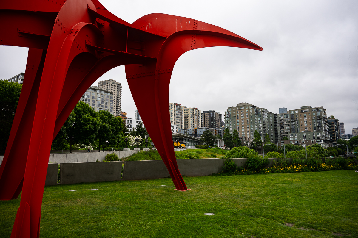 DSC_5671.jpg