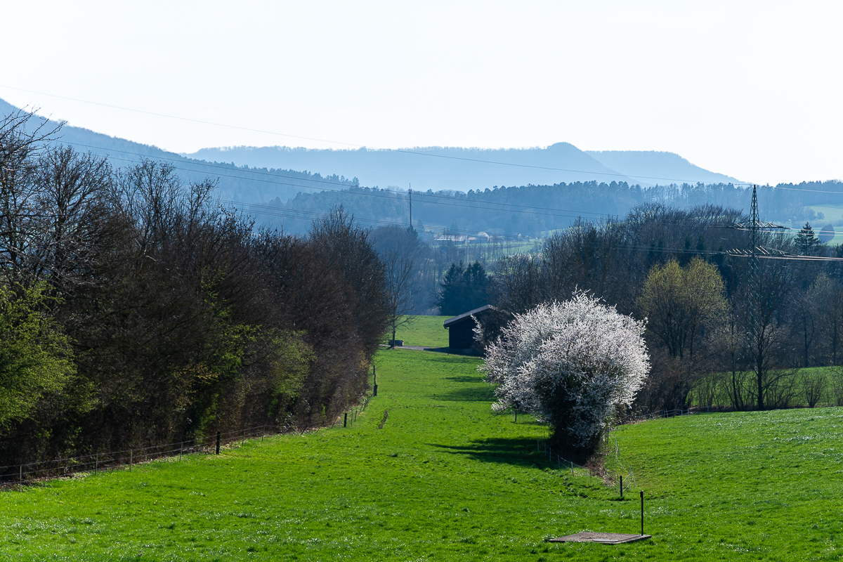 DSC_5691.jpg