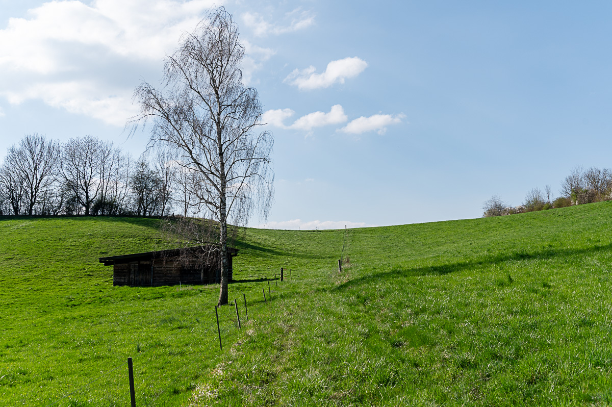 DSC_5695-2.jpg