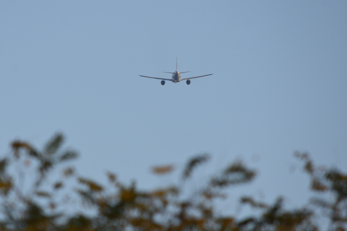 DSC_5725.JPG