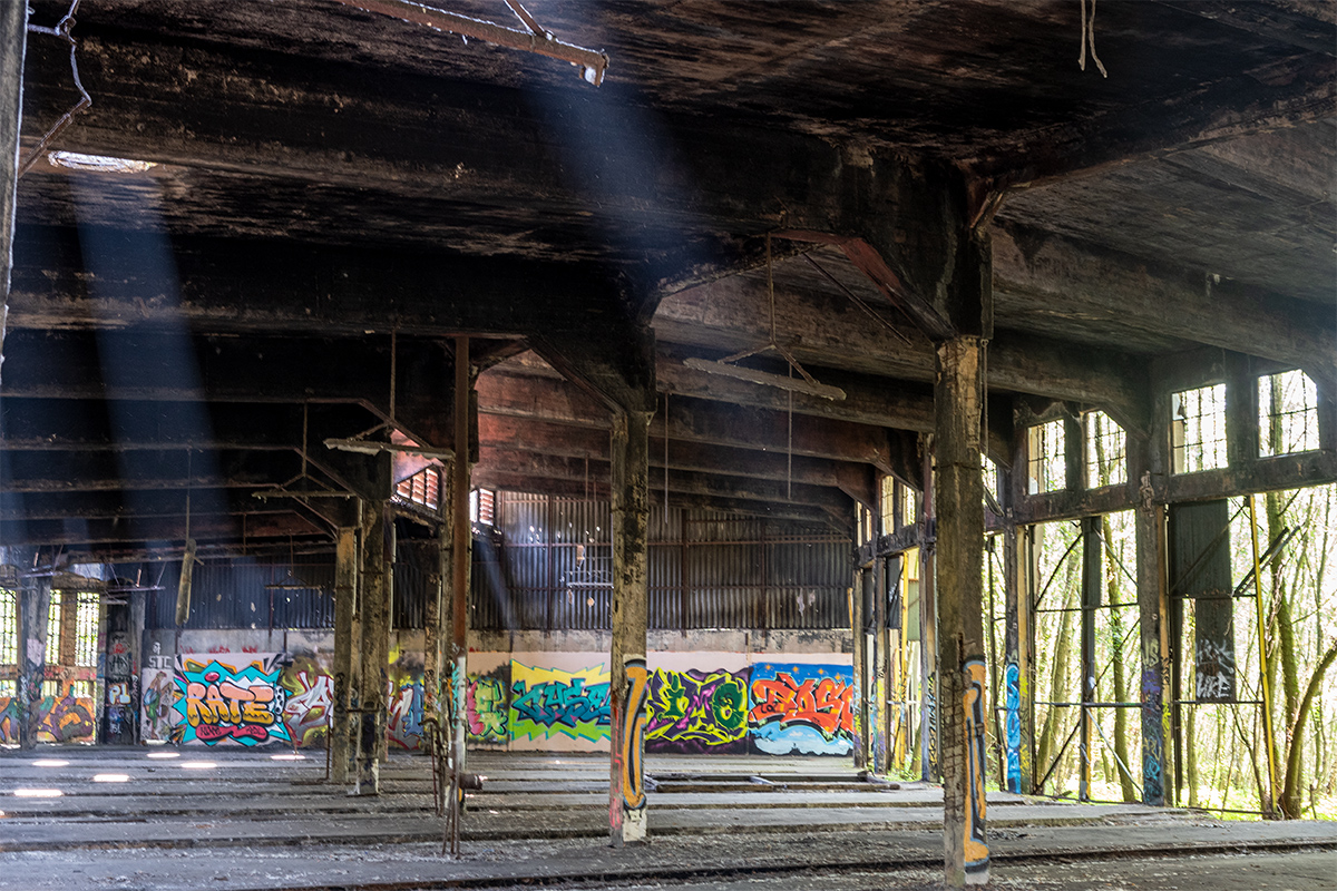 DSC_5795.jpg