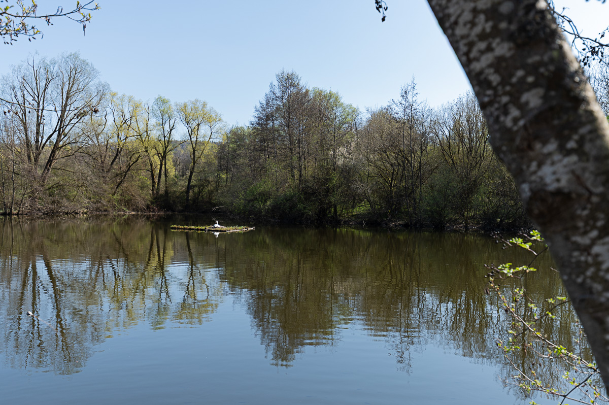 DSC_5797.jpg