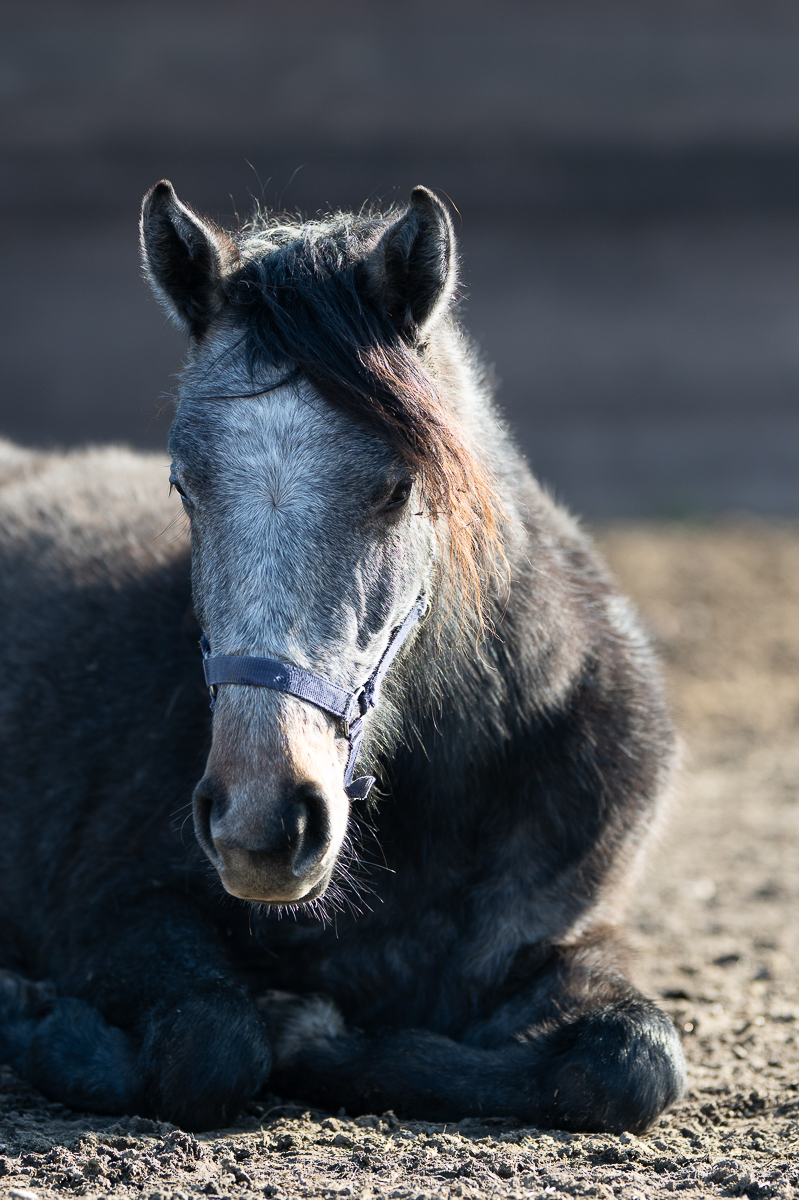 DSC_5803.JPG