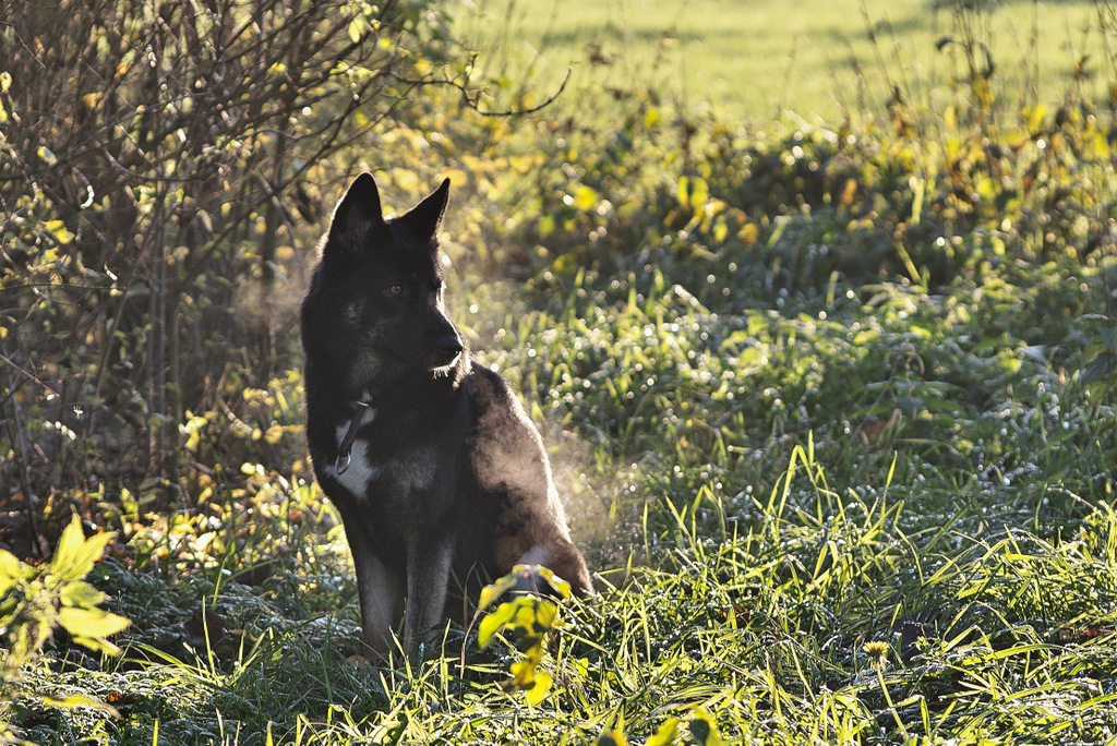 DSC_5814.jpg