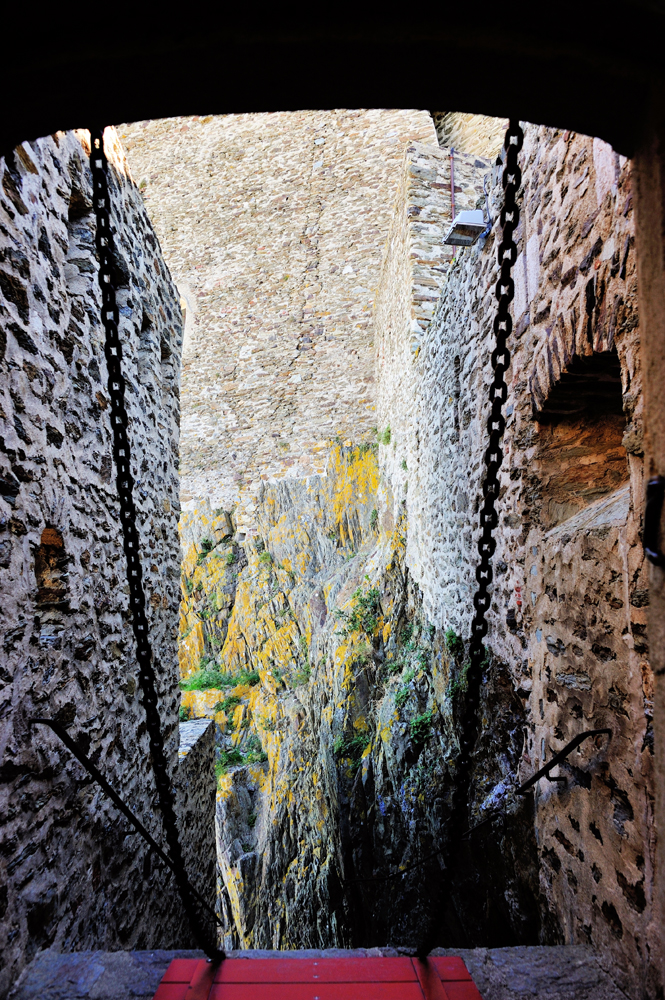 DSC_5855.jpg
