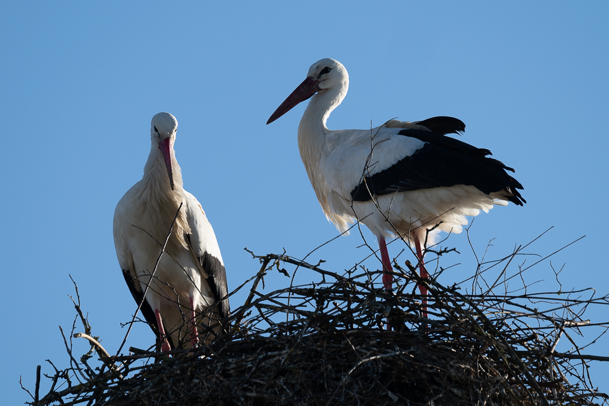 DSC_5859.JPG