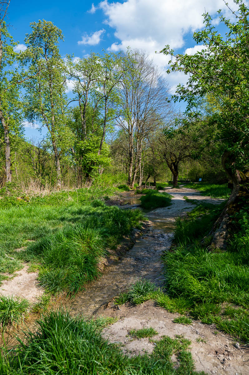 DSC_5891.jpg