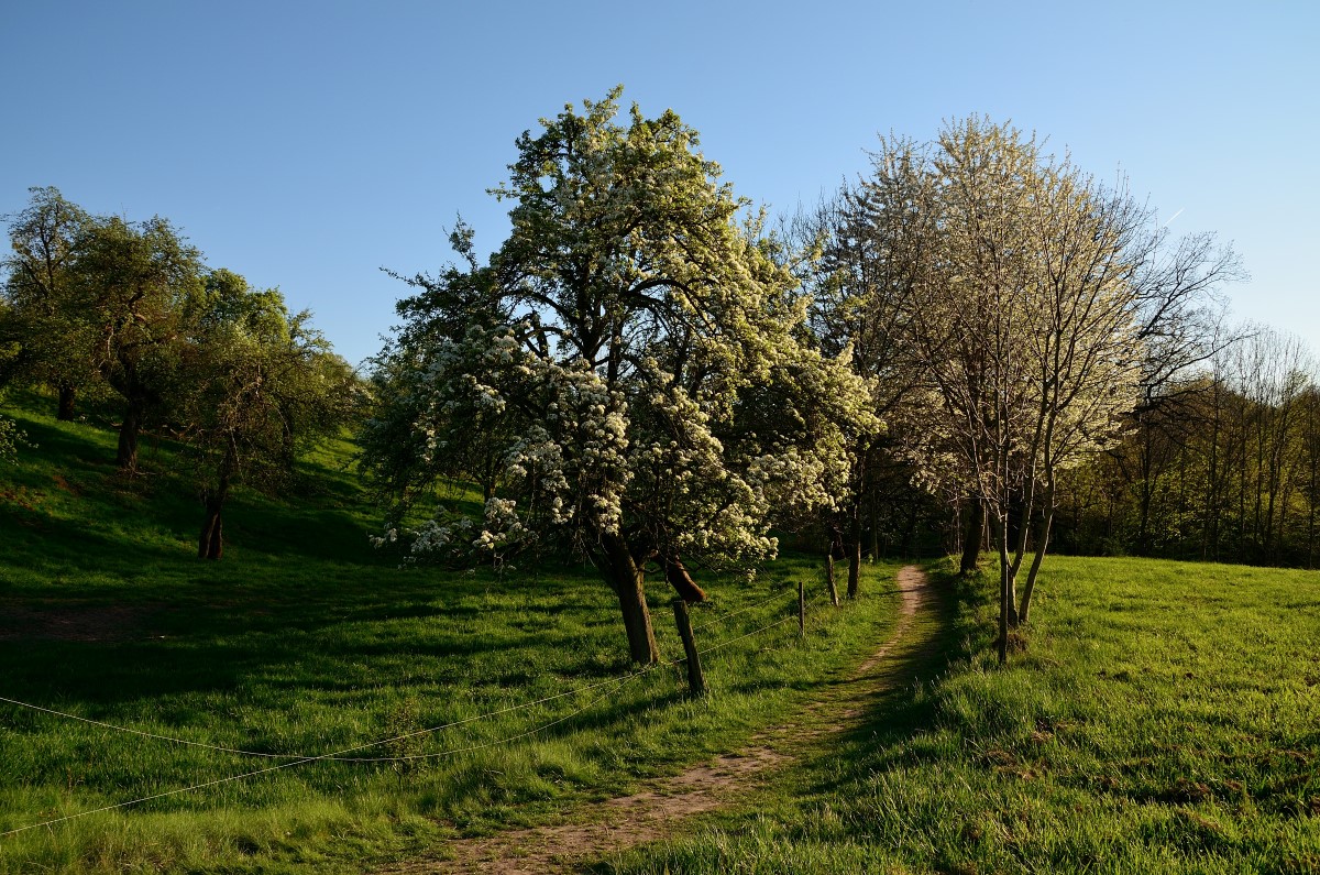 DSC_5896_00001 (2)n.jpg