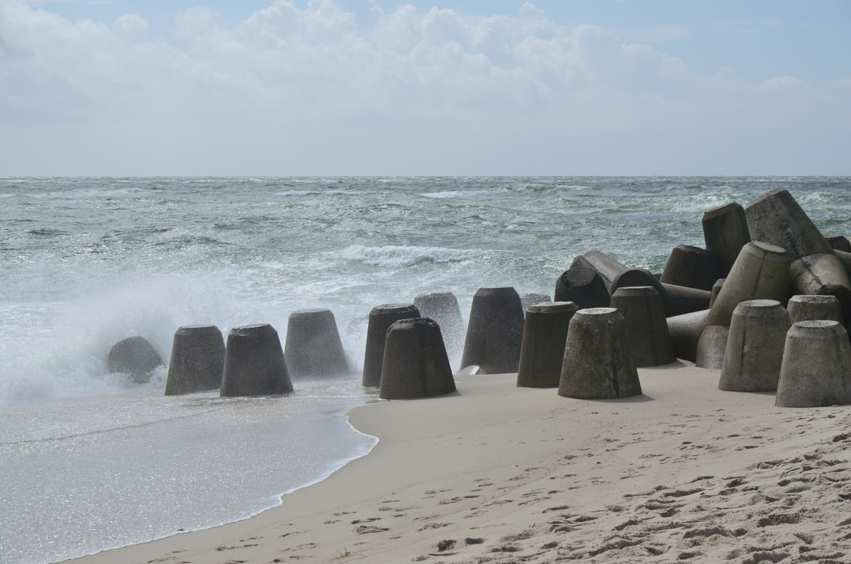 DSC_5897.JPG