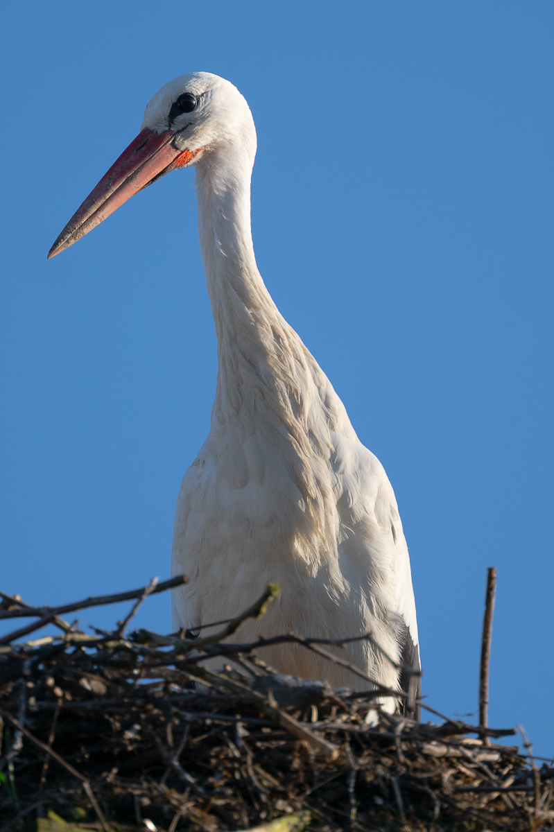 DSC_5901.JPG