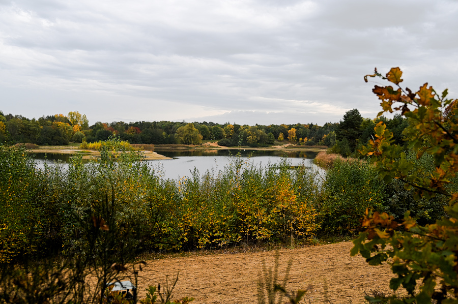 DSC_5911.jpg