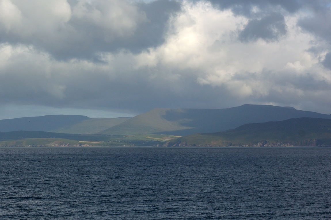 DSC_5919.jpg