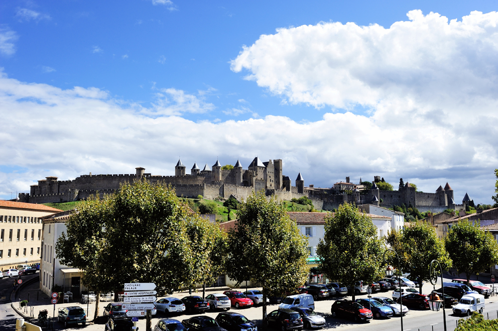 DSC_5955.jpg