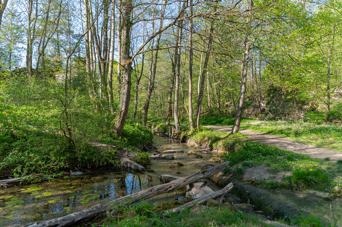 DSC_5956.jpg