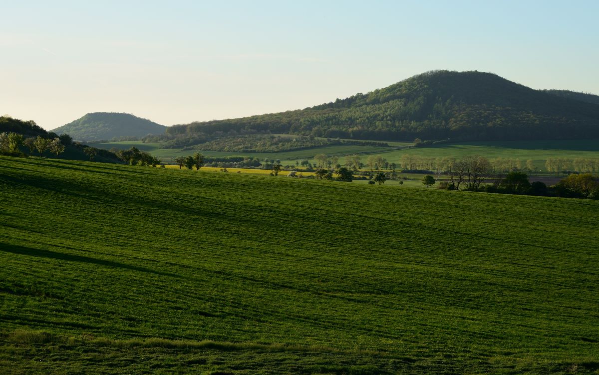 DSC_5959_00001n.jpg