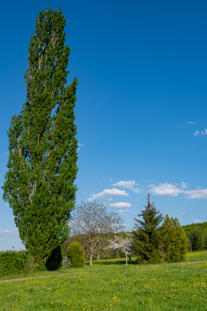 DSC_59793.jpg