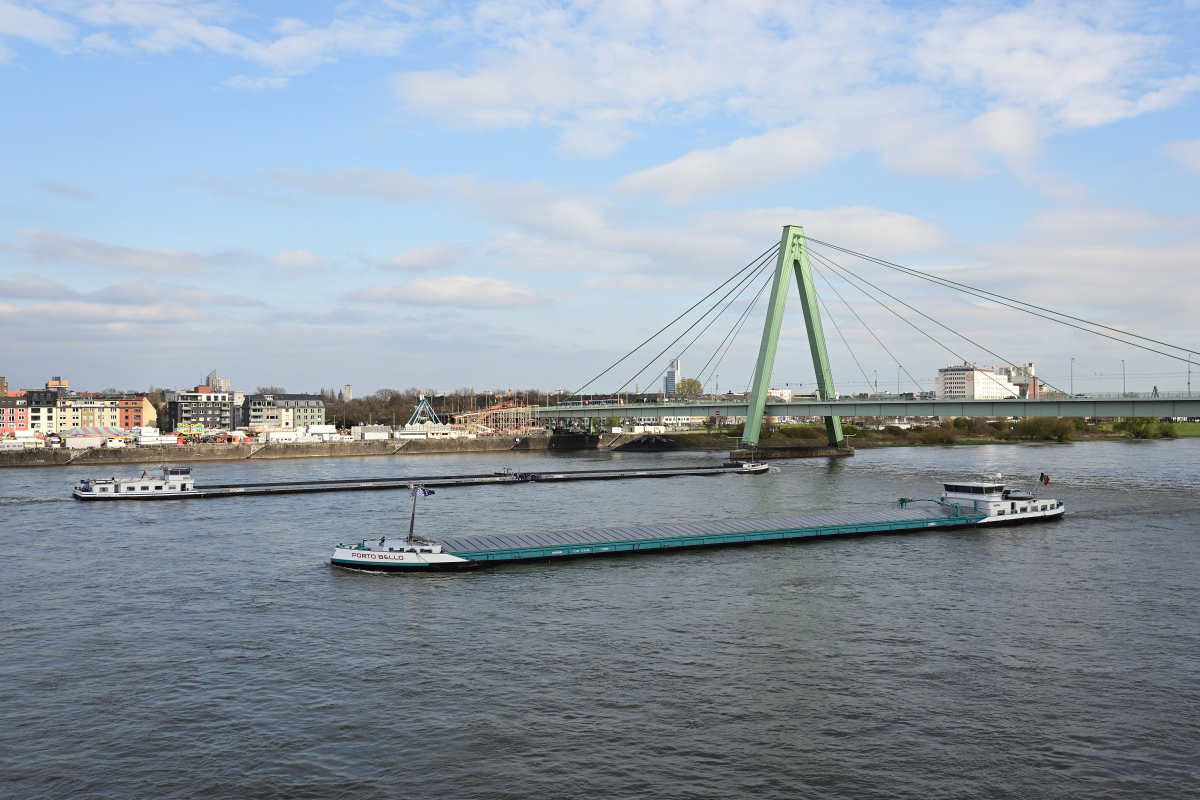 DSC_6001.JPG