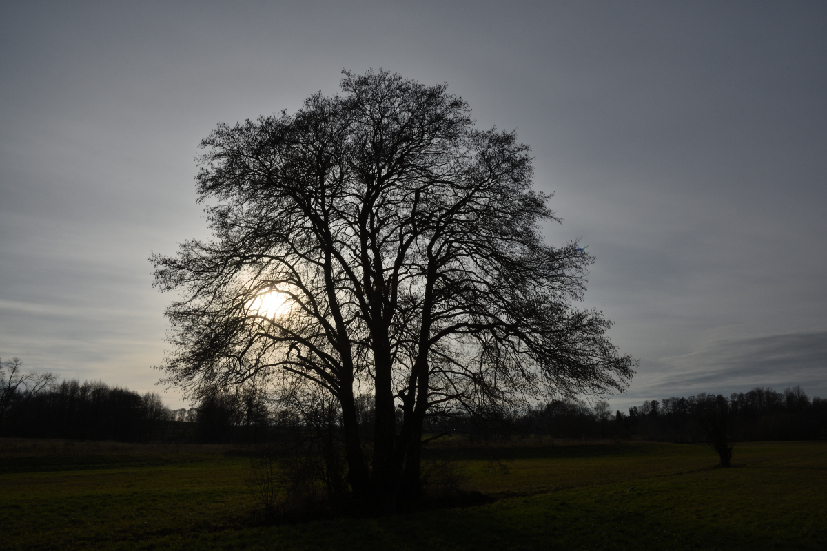 DSC_6057.JPG
