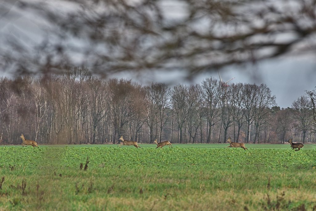 DSC_6124.jpg