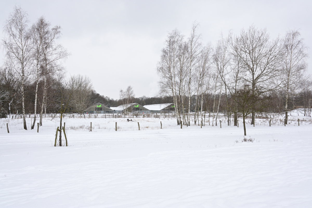 DSC_6189.JPG