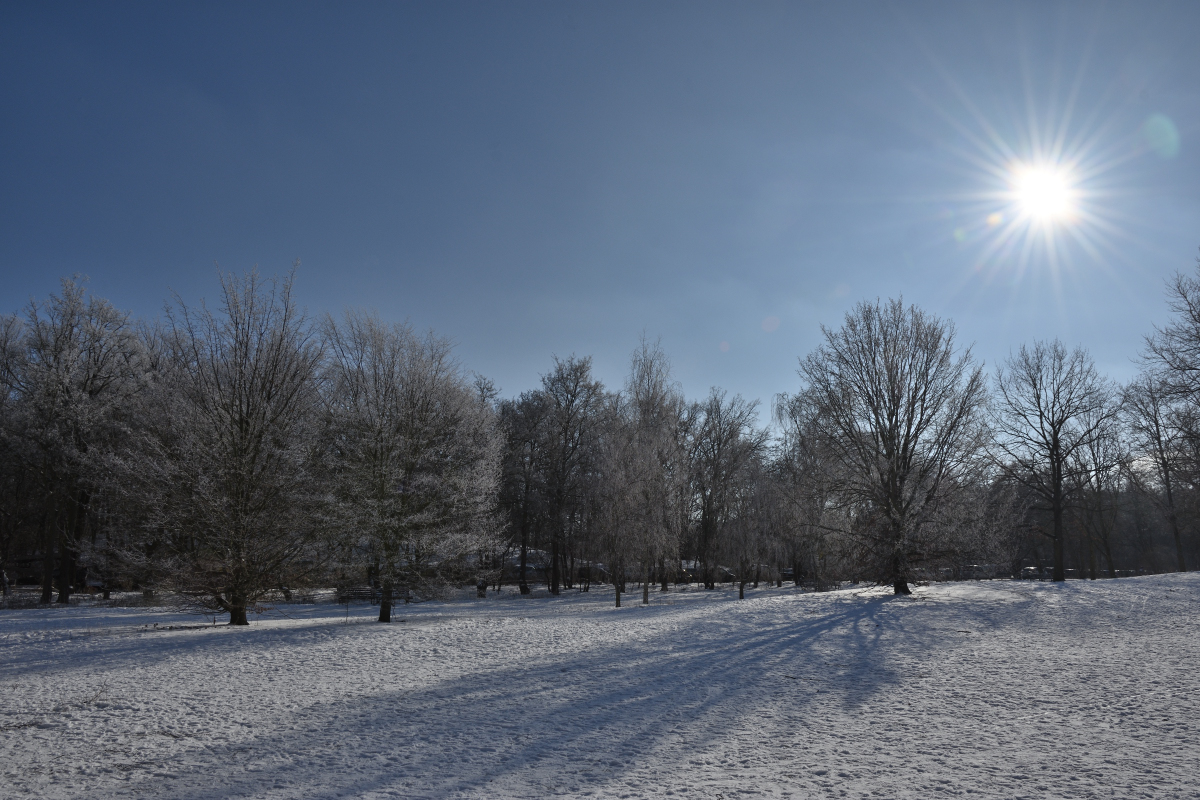 DSC_6215.JPG