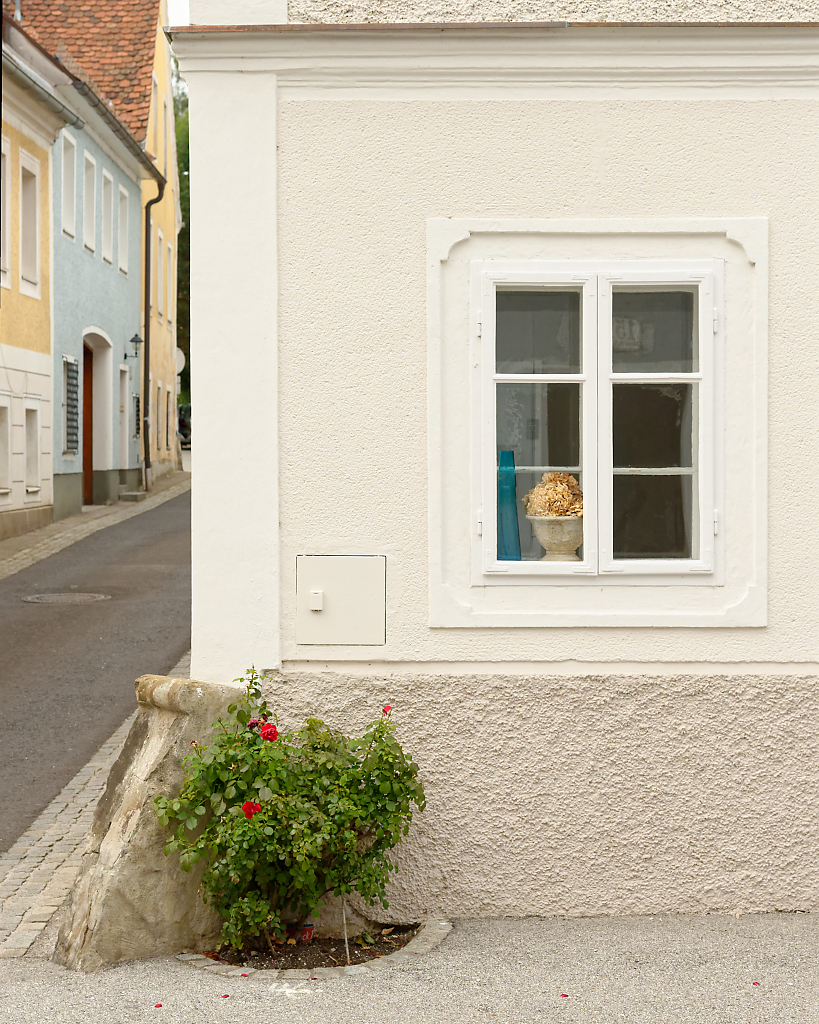 DSC_6287_DxO.jpg