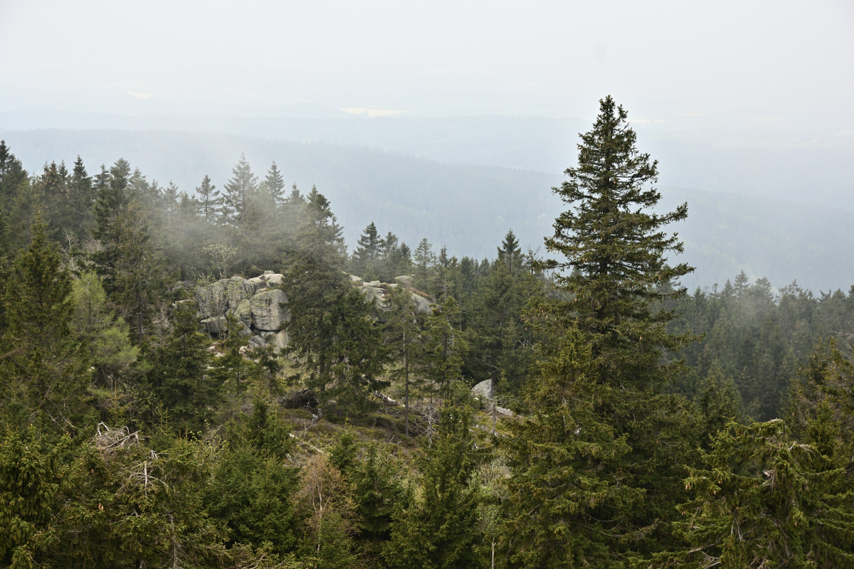 DSC_6317.JPG