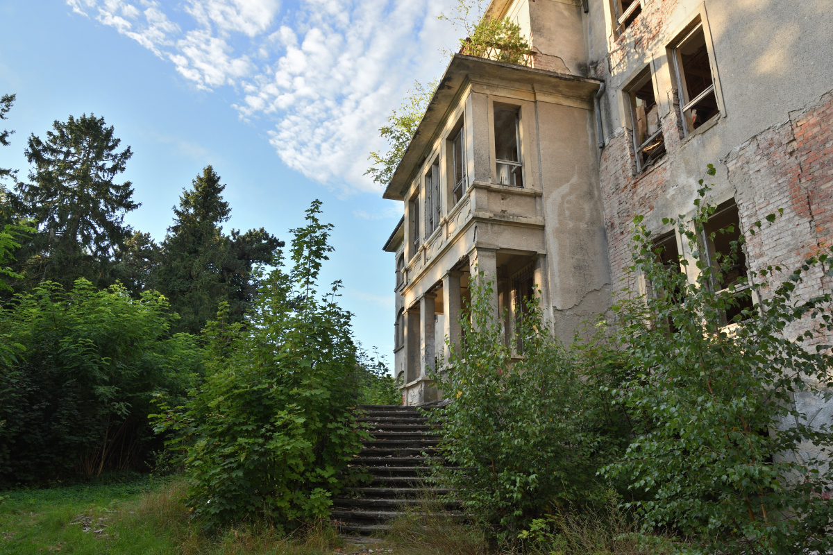 DSC_6344.JPG
